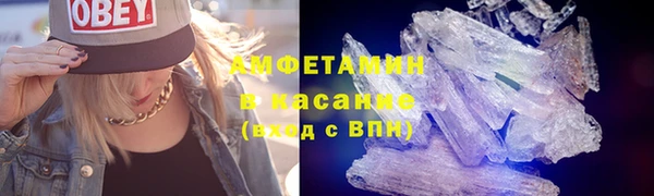гидра Арсеньев